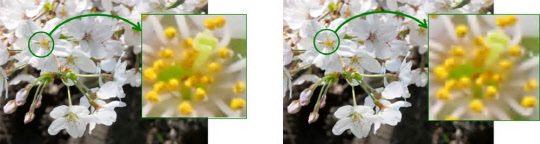 기존 출시된 제품보다 1.6배의 고해상도를 구현한 소니의 유기발광다이오드(OLED) 마이크로 디스플레이 'ECX 339A' 실제 화면 모습(왼쪽) <소니 제공>